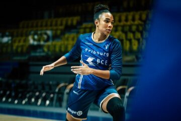 Українці за кордоном: Семерич, Уро-Ніле, Бабич, Любінець 29